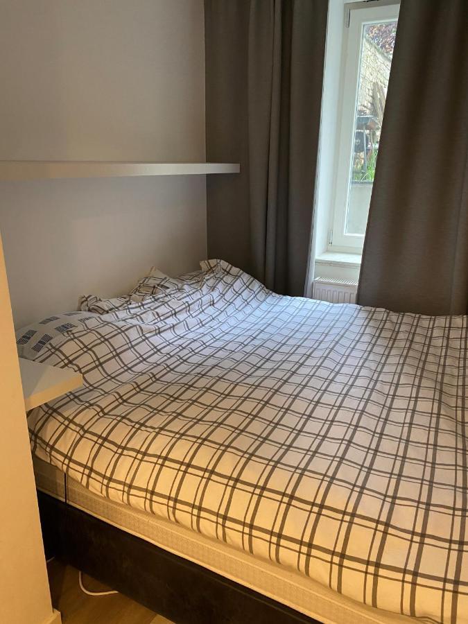 Amazing Flat In Front Of Bois De La Cambre Διαμέρισμα Βρυξέλλες Εξωτερικό φωτογραφία