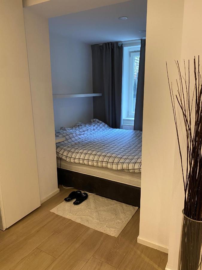 Amazing Flat In Front Of Bois De La Cambre Διαμέρισμα Βρυξέλλες Εξωτερικό φωτογραφία